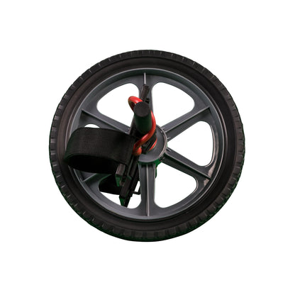 Ab Wheel - Roue abdominale